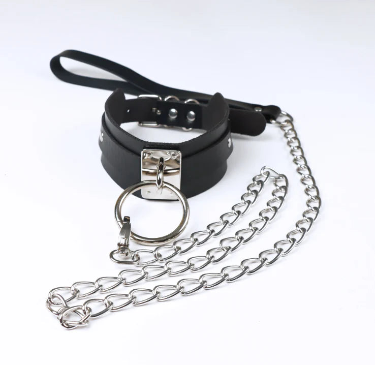 Follow me Collar